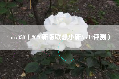 mx350（2020新版联想小新Air14评测）