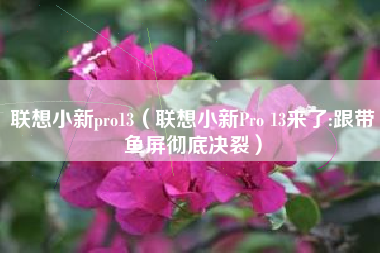 联想小新pro13（联想小新Pro 13来了:跟带鱼屏彻底决裂）