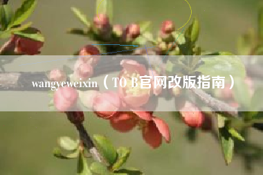 wangyeweixin（TO B官网改版指南）