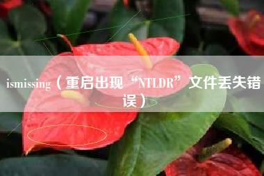 ismissing（重启出现“NTLDR”文件丢失错误）