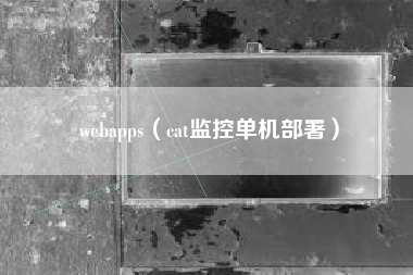 webapps（cat监控单机部署）