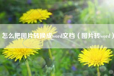怎么把图片转换成word文档（图片转word）