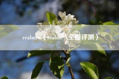 realmex（realme X全面评测）