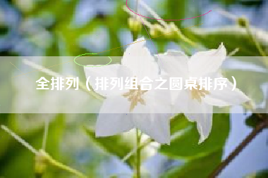 全排列（排列组合之圆桌排序）
