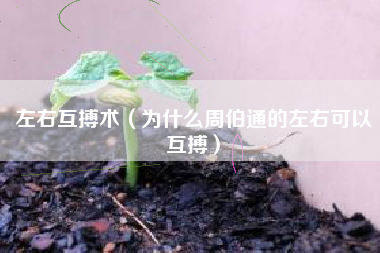 左右互搏术（为什么周伯通的左右可以互搏）