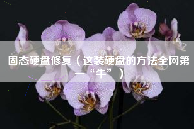 固态硬盘修复（这装硬盘的方法全网第一“牛”）