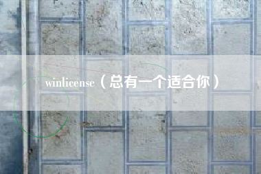 winlicense（总有一个适合你）