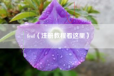 feof（注册教程看这里）