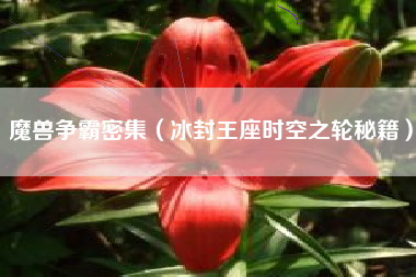魔兽争霸密集（冰封王座时空之轮秘籍）
