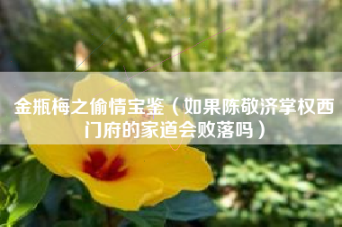 金瓶梅之偷情宝鉴（如果陈敬济掌权西门府的家道会败落吗）