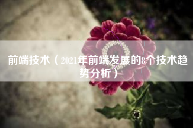 前端技术（2021年前端发展的8个技术趋势分析）
