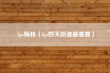 fgo梅林（fgo四天拐谁最重要）