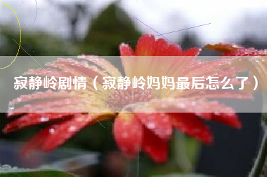 寂静岭剧情（寂静岭妈妈最后怎么了）