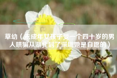 草幼（未成年女孩子受一个四十岁的男人哄骗从湖北到了深圳她是自愿的）