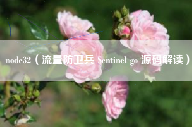 node32（流量防卫兵 Sentinel go 源码解读）