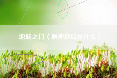 地城之门（原神地城是什么）
