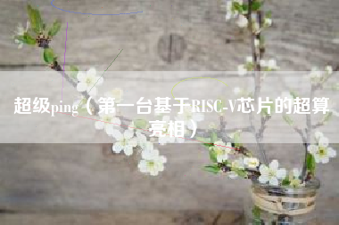 超级ping（第一台基于RISC-V芯片的超算亮相）