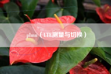 plmn（LTE测量与切换）