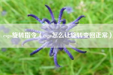 csgo旋转指令（csgo怎么让旋转变回正常）