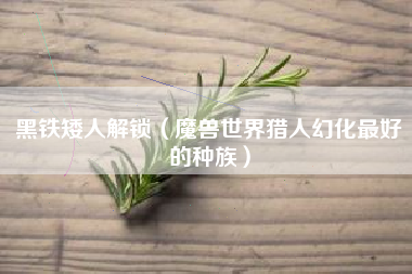 黑铁矮人解锁（魔兽世界猎人幻化最好的种族）