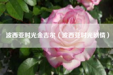 波西亚时光金吉尔（波西亚时光剧情）
