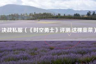 决战私服（《时空勇士》评测:这棵韭菜）