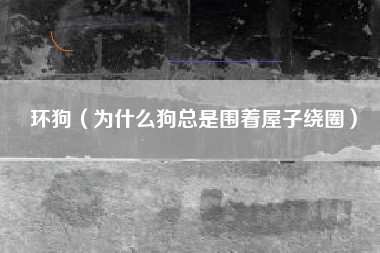 环狗（为什么狗总是围着屋子绕圈）