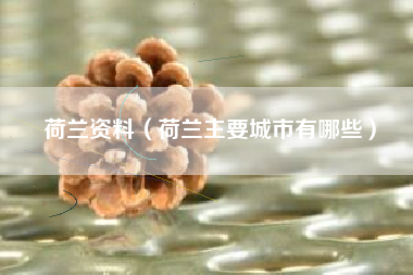 荷兰资料（荷兰主要城市有哪些）