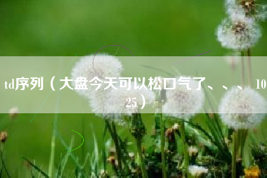 td序列（大盘今天可以松口气了、、、 1025）