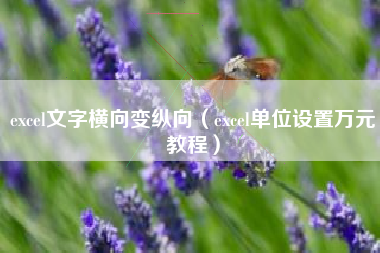 excel文字横向变纵向（excel单位设置万元教程）