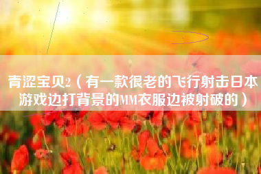青涩宝贝2（有一款很老的飞行射击日本游戏边打背景的MM衣服边被射破的）