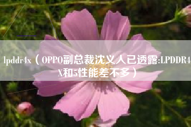 lpddr4x（OPPO副总裁沈义人已透露:LPDDR4X和5性能差不多）