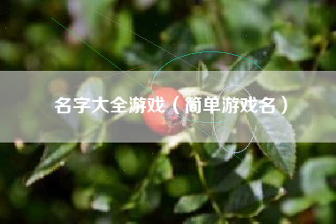 名字大全游戏（简单游戏名）