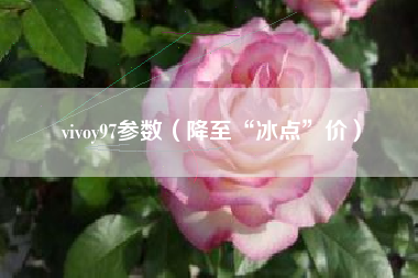 vivoy97参数（降至“冰点”价）