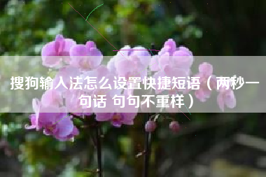 搜狗输入法怎么设置快捷短语（两秒一句话 句句不重样）