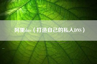 阿里dns（打造自己的私人DNS）