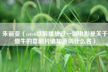 朱丽亚（cctv6以前播放过一部电影是关于借牛的喜剧片谁知道叫什么名）