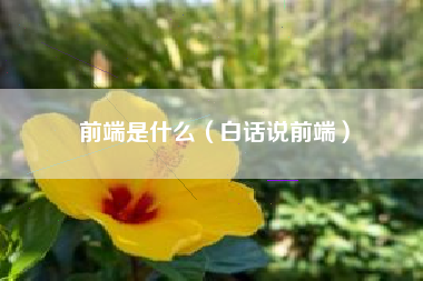 前端是什么（白话说前端）