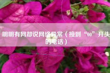 明明有网却说网络异常（接到“00”开头的电话）
