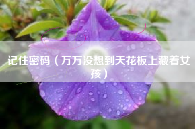 记住密码（万万没想到天花板上藏着女孩）