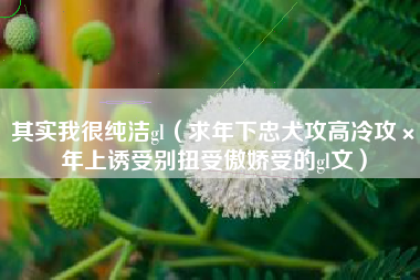 其实我很纯洁gl（求年下忠犬攻高冷攻×年上诱受别扭受傲娇受的gl文）