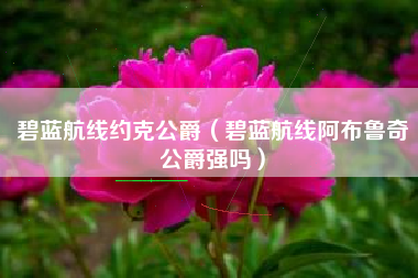 碧蓝航线约克公爵（碧蓝航线阿布鲁奇公爵强吗）