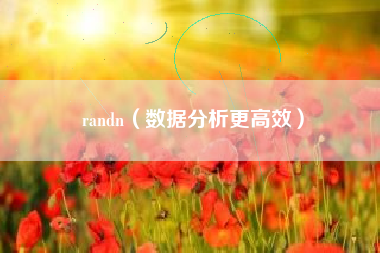 randn（数据分析更高效）