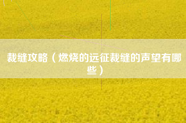 裁缝攻略（燃烧的远征裁缝的声望有哪些）
