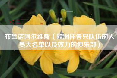 布鲁诺阿尔维斯（欧洲杯各只队伍的人员大名单以及效力的俱乐部）