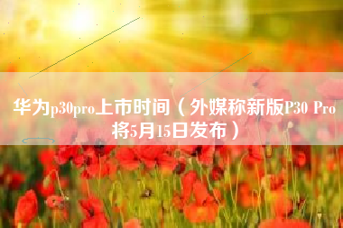华为p30pro上市时间（外媒称新版P30 Pro将5月15日发布）