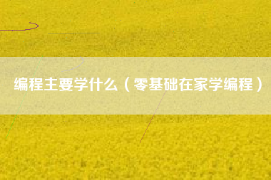 编程主要学什么（零基础在家学编程）