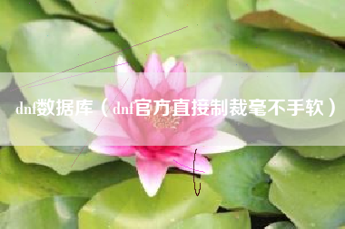 dnf数据库（dnf官方直接制裁毫不手软）