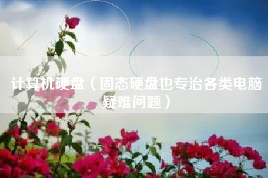 计算机硬盘（固态硬盘也专治各类电脑疑难问题）
