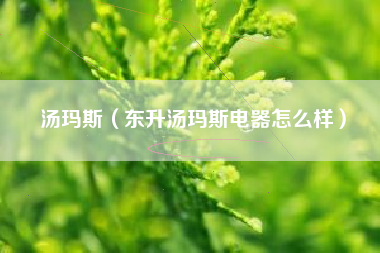 汤玛斯（东升汤玛斯电器怎么样）